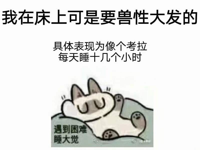 “为你两肋插管”— 哈利路亚（中高刺激）评测4