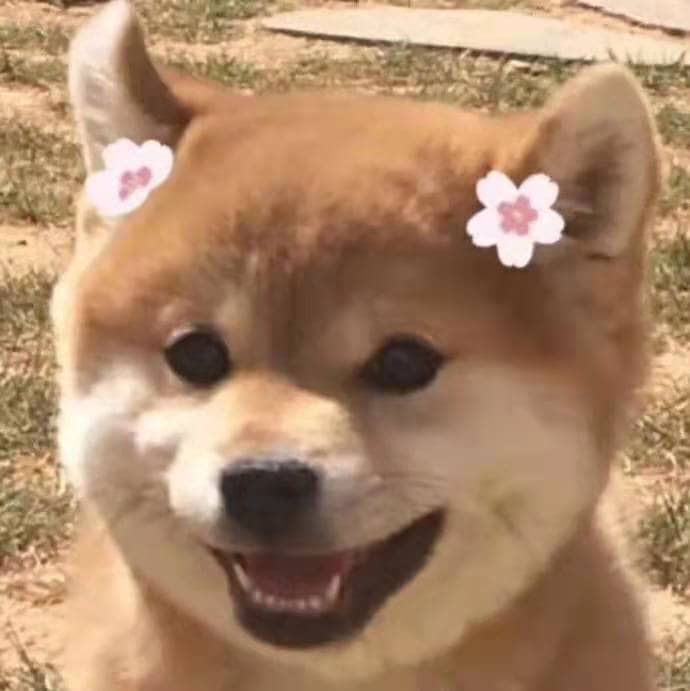 萌慢玩飞机杯名器测评-萌新挚友，超高的性价比，非常适合新入坑的杯友。5