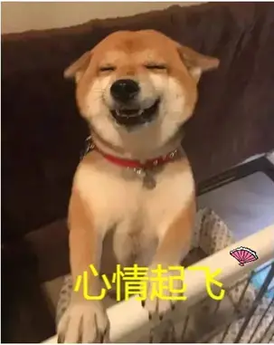 高性价比的真实口感-杯多多真实之口评测-名器社