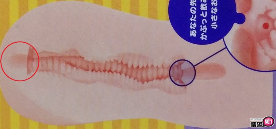 觉醒型素材肉厚极致处女-不只高潮强烈身体还抖个不停!20 觉醒型素材肉厚极致处女-不只高潮强烈身体还抖个不停!20