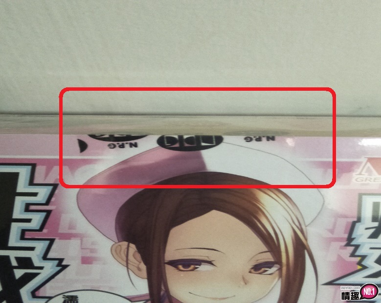 日本NPG淫乱堕天使的禁忌看护樱木凛。龟头洗般的痴女性感治疗;2