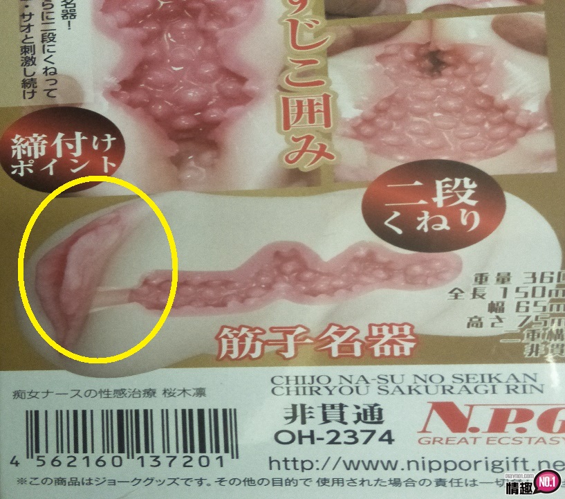 日本NPG淫乱堕天使的禁忌看护樱木凛。龟头洗般的痴女性感治疗;9