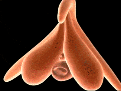 玩具测评：诱魅芒果派脉冲吮吸跳蛋10