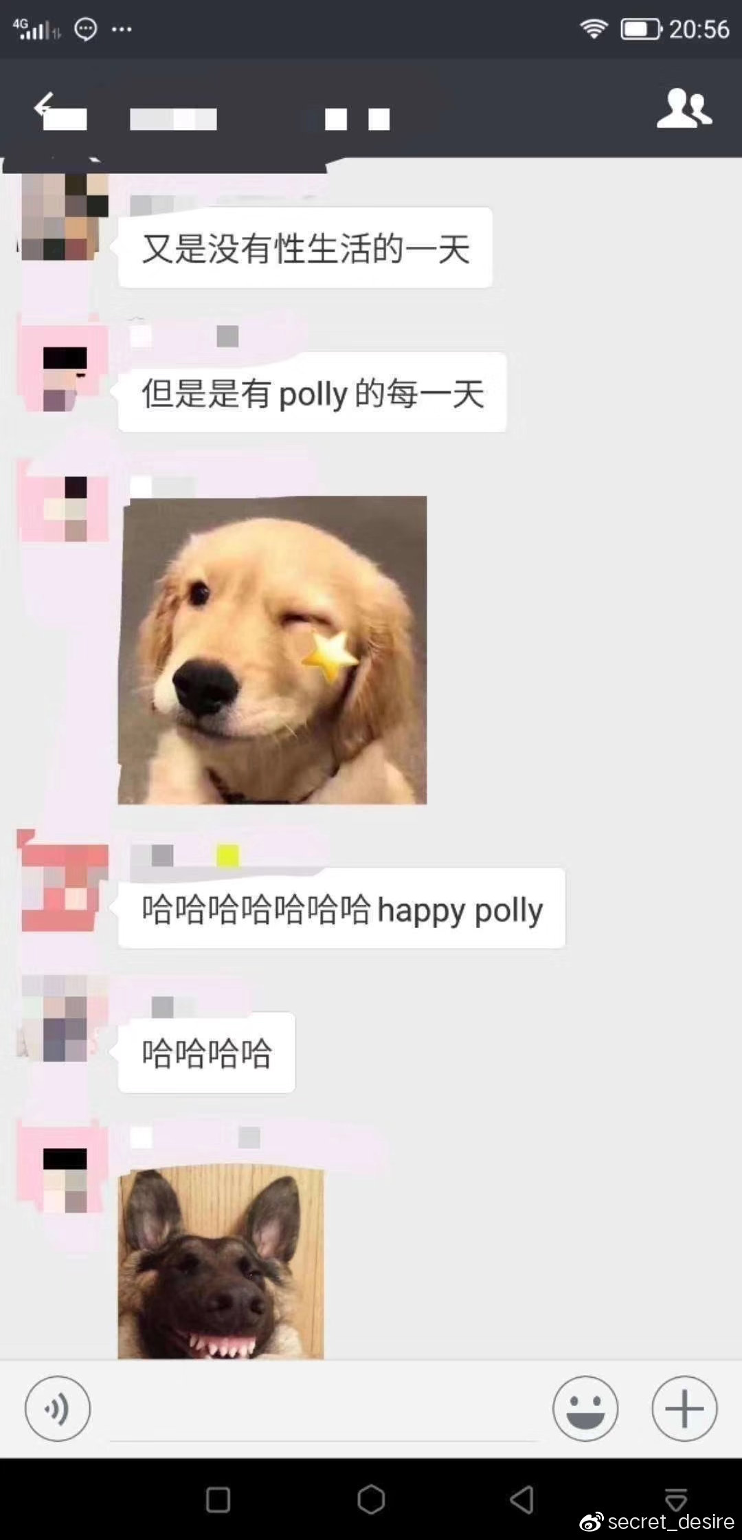 人手一根的polly到底是何方神圣?-名器社