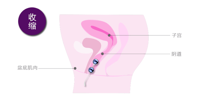 私密养护太重要了,blush为爱“紧上添花”4 私密养护太重要了,blush为爱“紧上添花”4