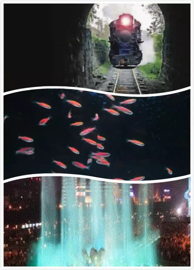 评测：一样的飞机杯,不一样的妙(shen)评9