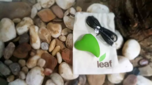 评测：leaf系列——新鲜(fresh)按摩器4